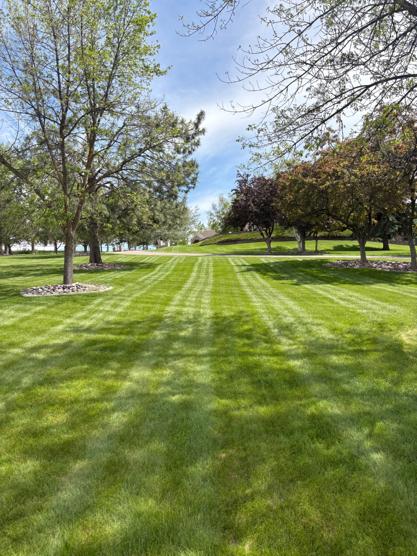 Wide property lawn with mowing stripes and mature trees